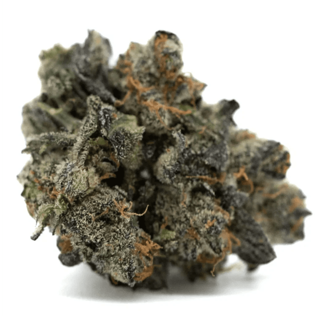 Navigating Hemp Laws in MN vs. WI: Clearing Up the Confusion in 2026