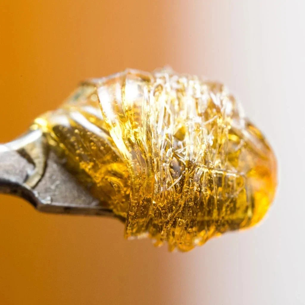 THC Concentrates Explained: Wax, Badder, Crumble & THCa