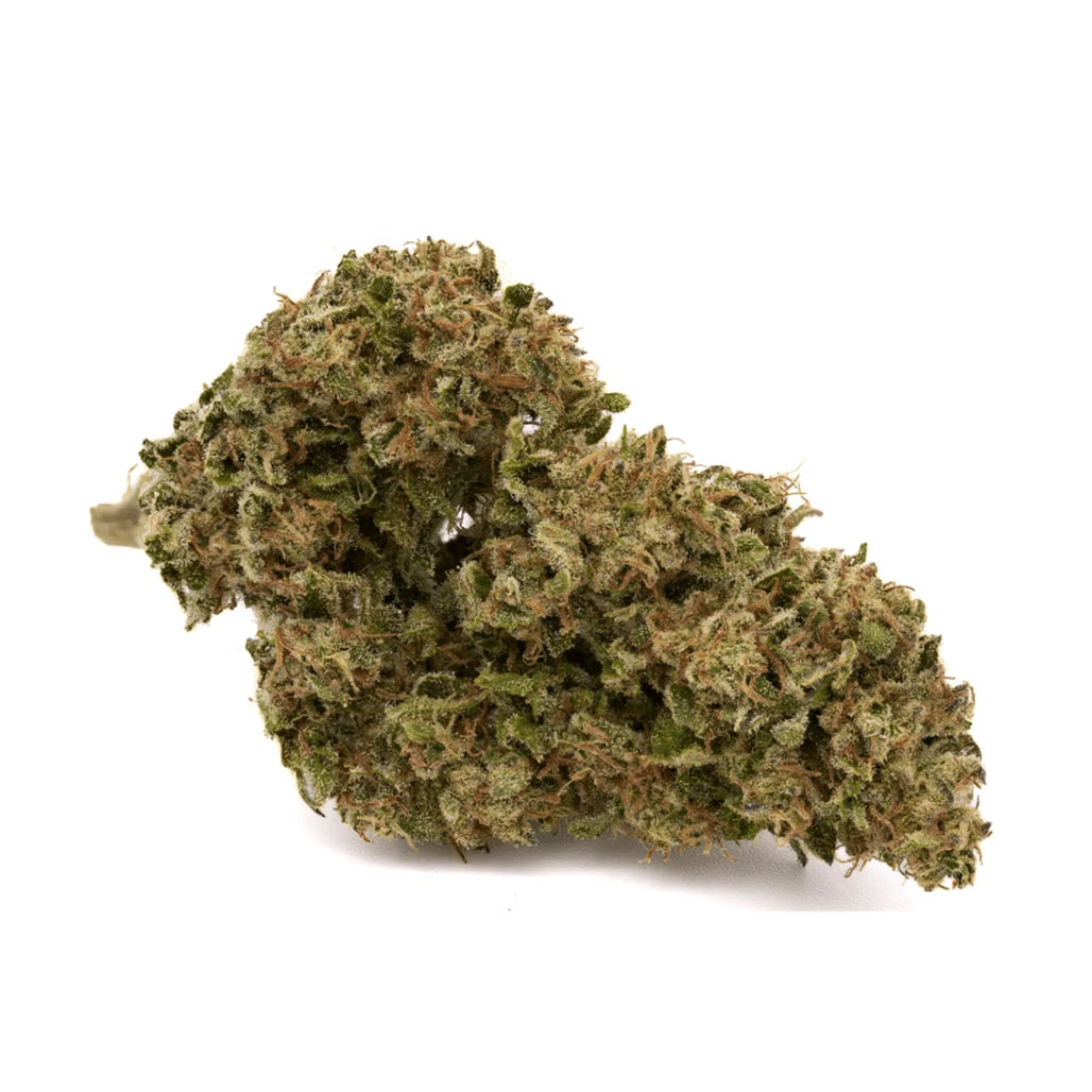 St. Croix Cannabis indoor THCa hemp flower, bud close-up (photo 3 of 50)