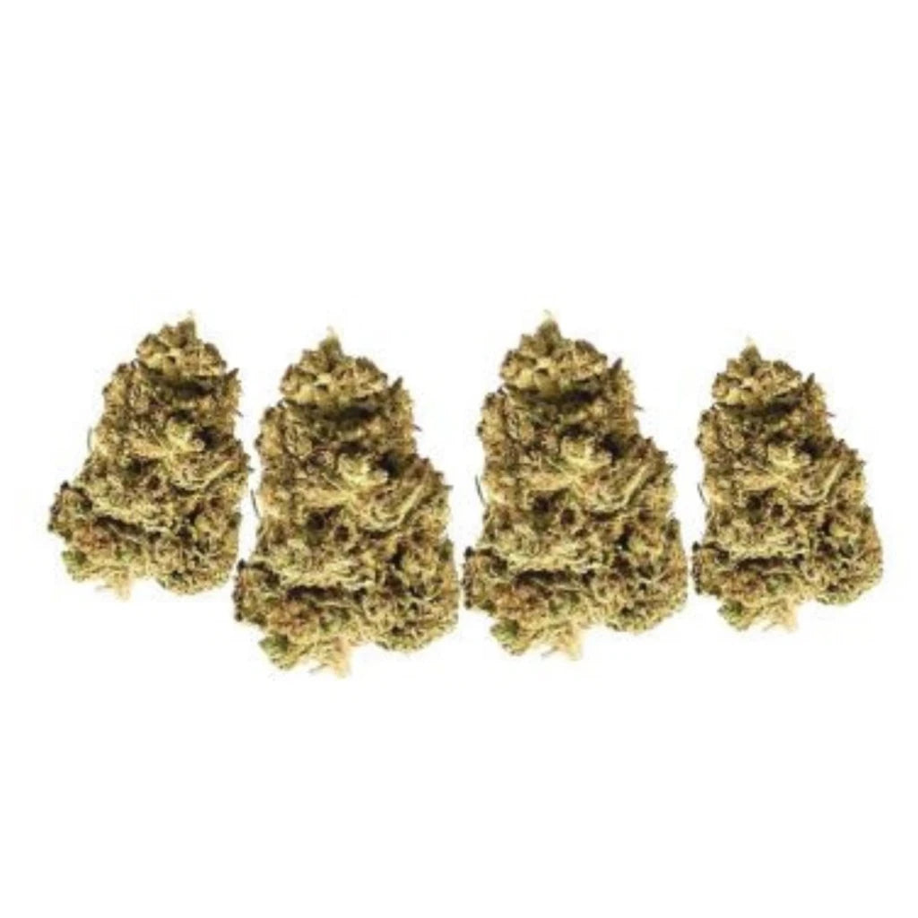 St. Croix Cannabis THCa Flower – Premium Small-Batch Indoor Buds