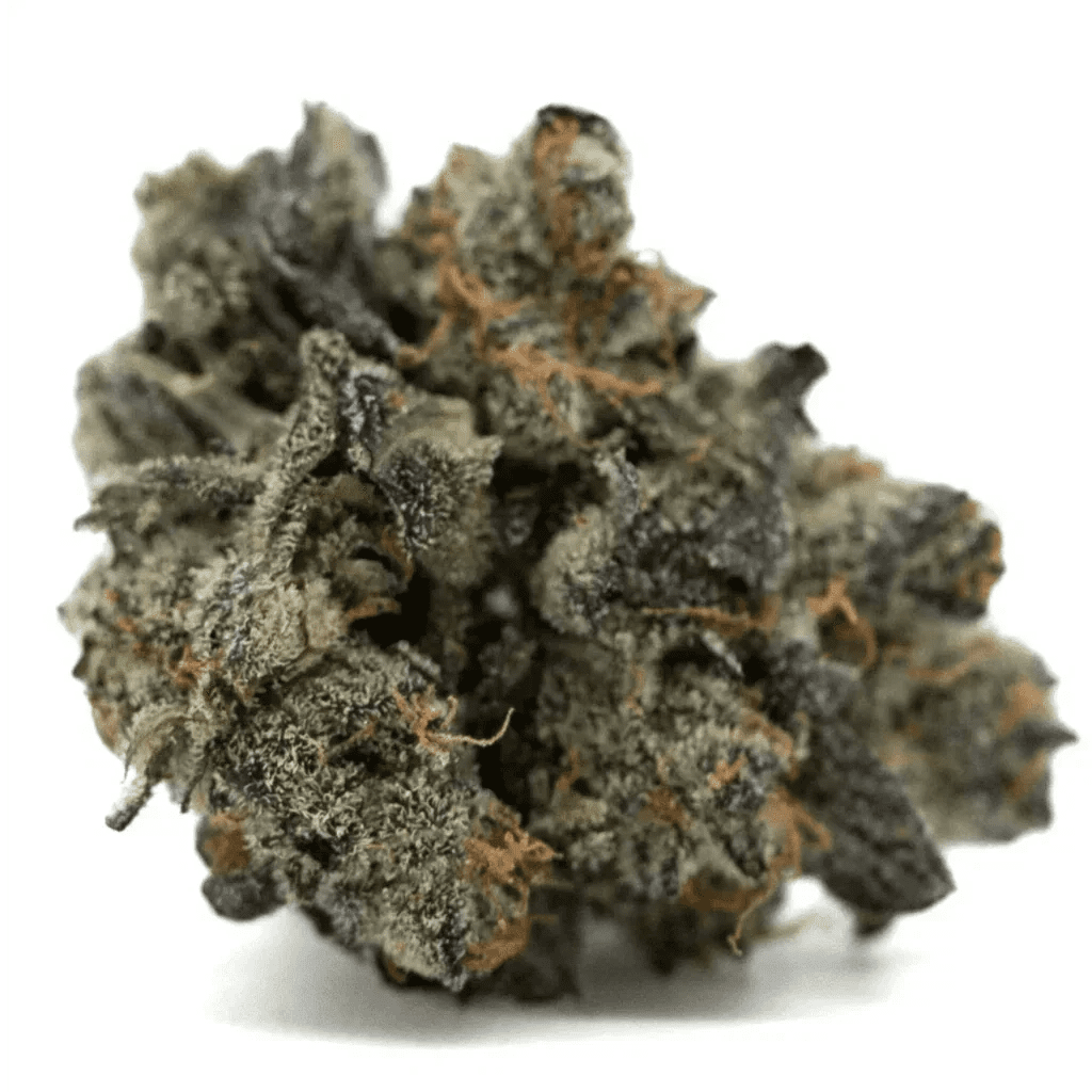 Navigating Hemp Laws in MN vs. WI: Clearing Up the Confusion in 2026