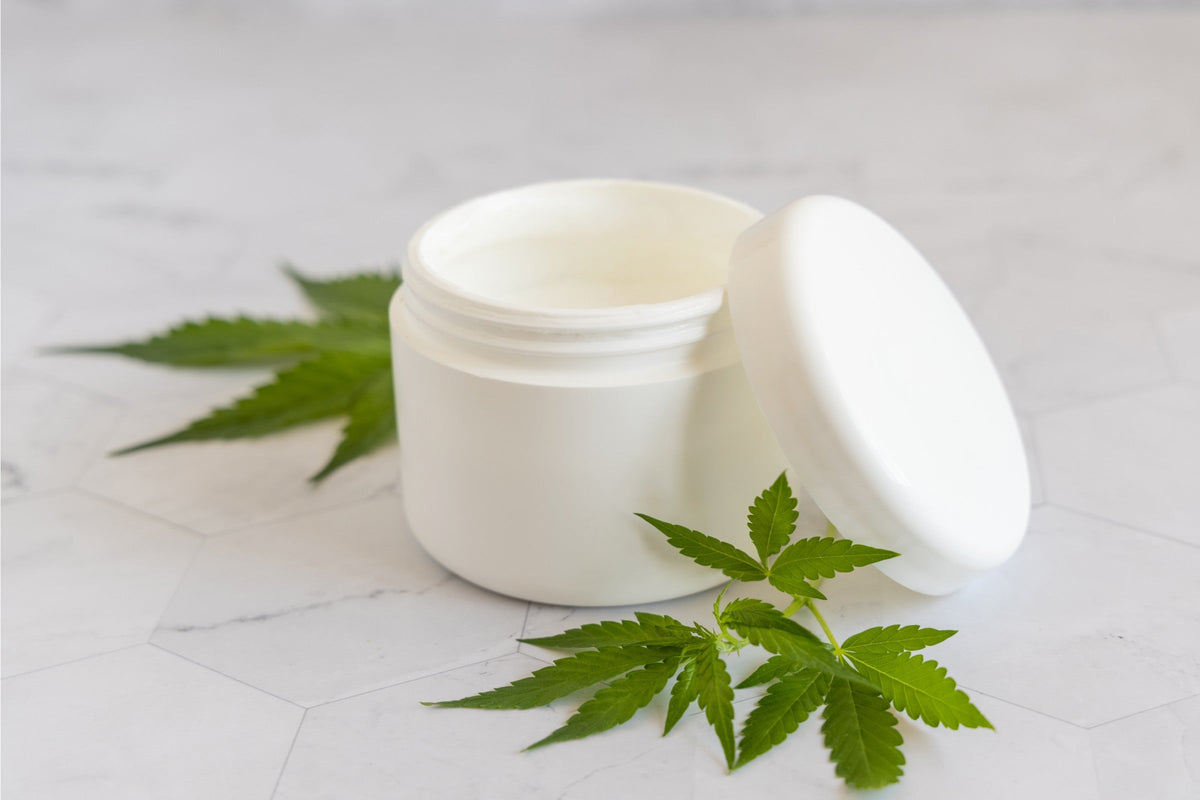 Mainstream CBD topicals: white jar of CBD cream with fresh hemp leaves on marble