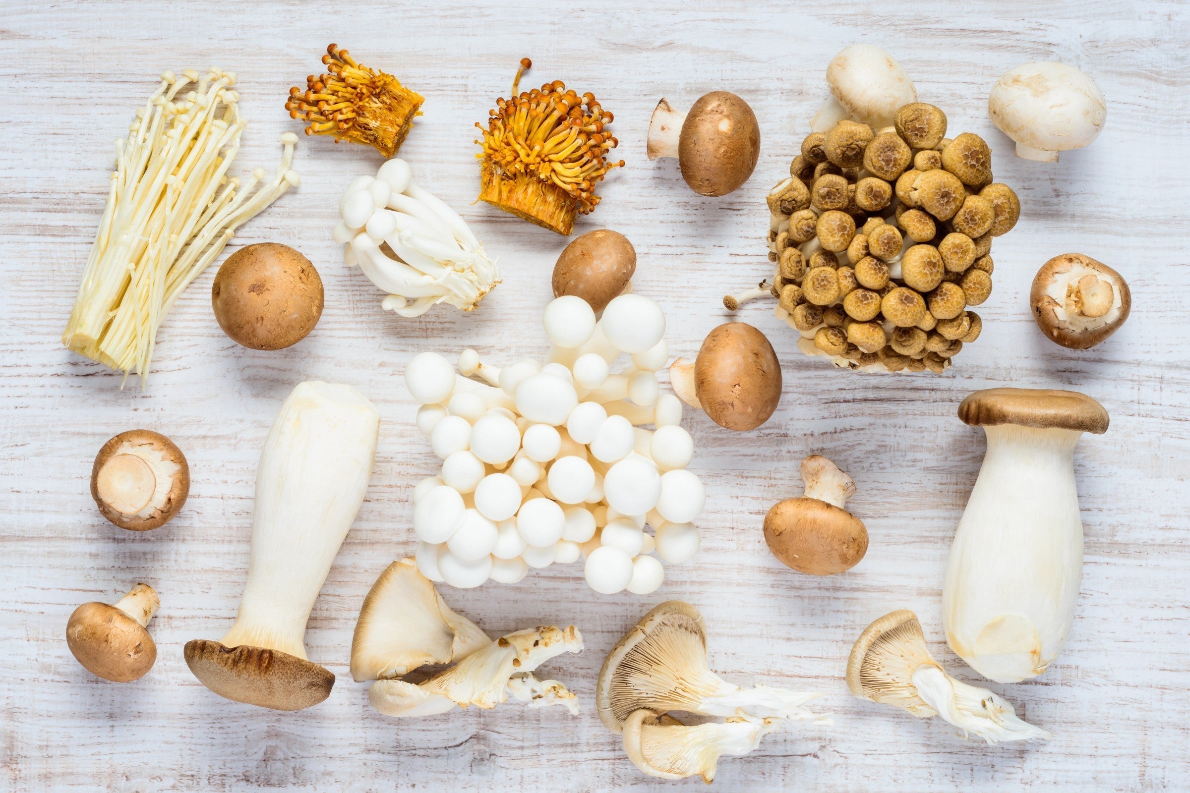 Legal Mushroom Vapes, Gummies & Chocolates – Proprietary Functional Blend for Relaxation & Mood | Mainstream CBD