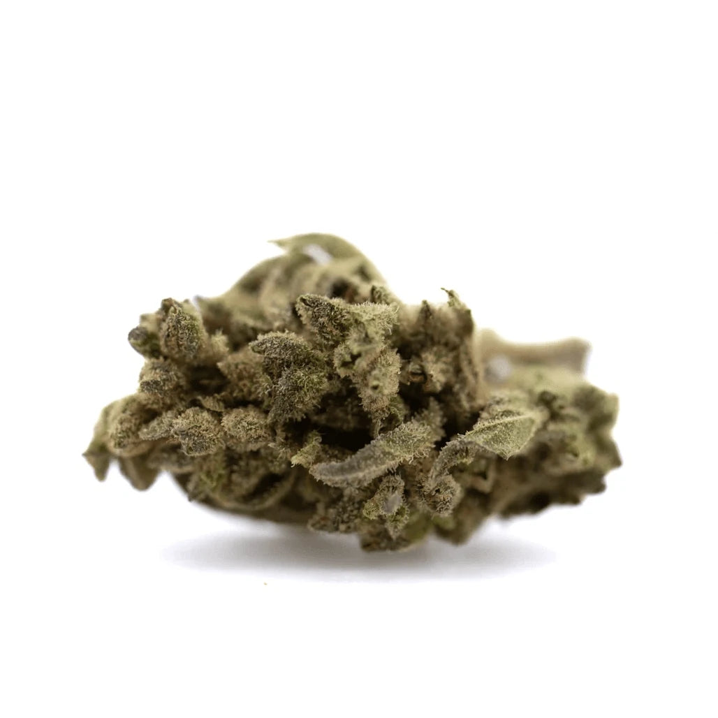 St Croix Cannabis THCa flower bud on white, ounce