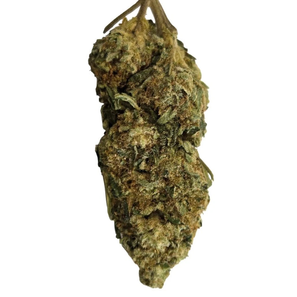 St. Croix Cannabis indoor THCa hemp flower, bud close-up (photo 24 of 50)
